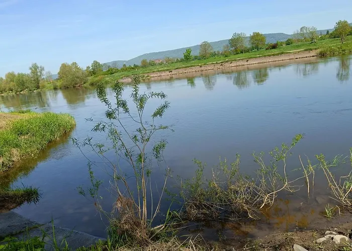 Weserufer Direkt Am Wasser Radwanderweg 3-4 Personen Wlan Appartamento